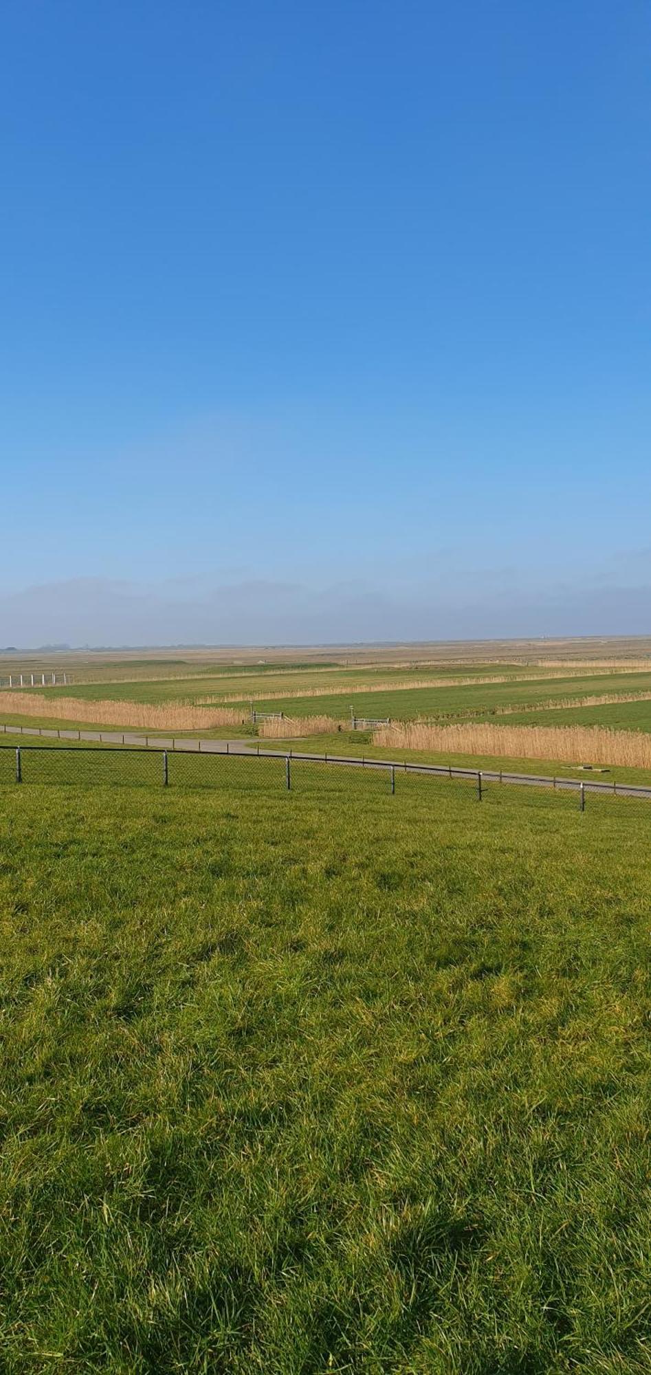 Apartament De Groote Medwert Holwerd Zewnętrze zdjęcie